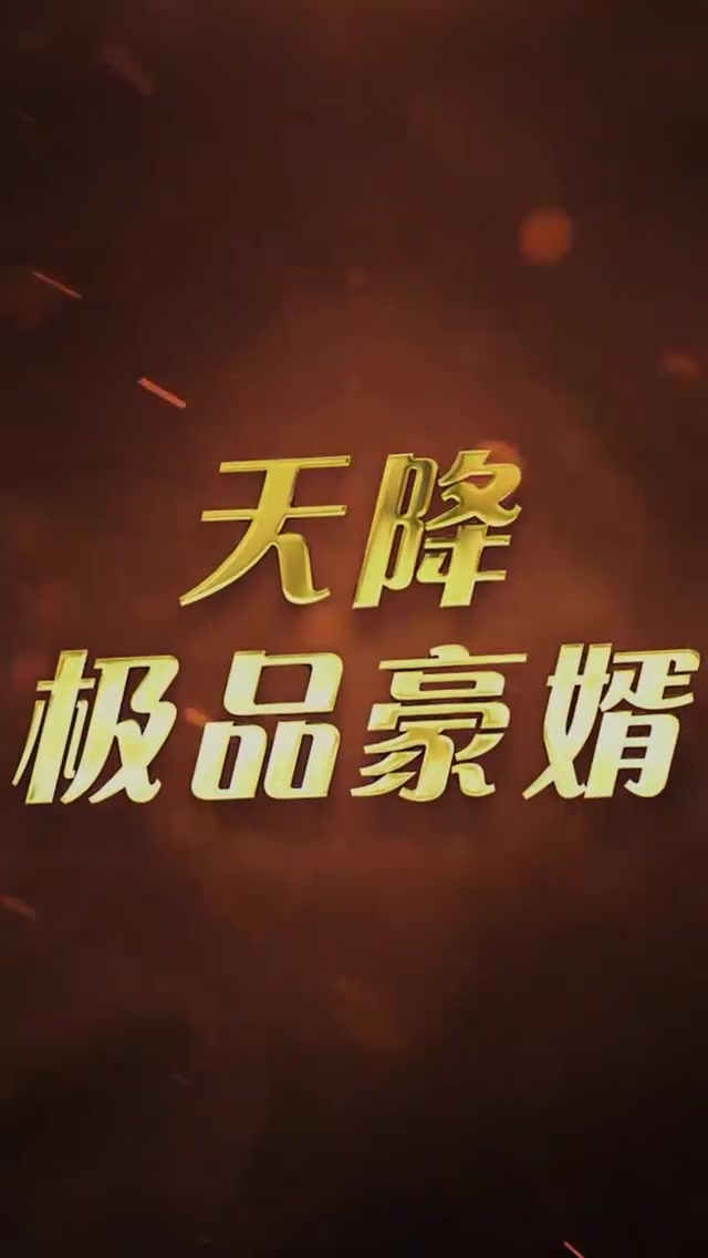 天降极品豪婿