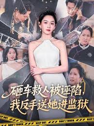 砸车救人被诬陷我反手送她进监狱
