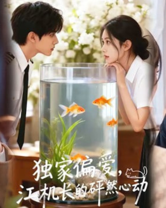 独家偏爱江机长的砰然心动
