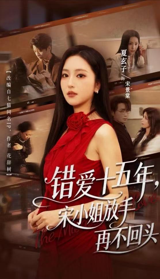 错爱十五年宋小姐放手再不回头